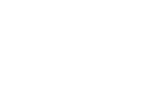 HiQ-CARB in a nutshell