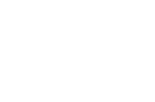 HiQ-CARB Sustainability aspects